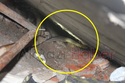 Merdiven Altına Giren Yılanı İtfaiyeciler Çıkardı