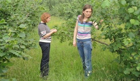 Fındık Kurdu ile Mücadele