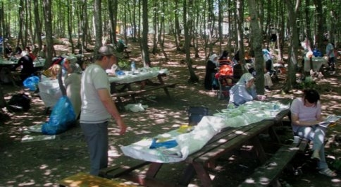 Akyazılı Öğretmenler Selman Dede De Piknikte Bir Araya Geldiler