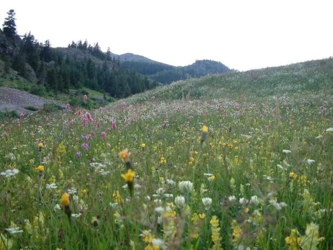 Haydi Gençler Yaz Kampa