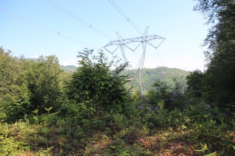 Güzlek'in Elektrik Direkleri Değişiyor