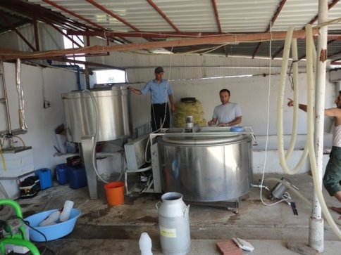 Soğuk Süte Destekleme Primi