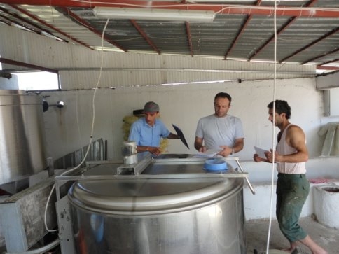 Soğuk Süte Destekleme Primi