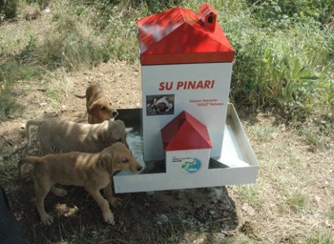 Sakarya'da Sokak Hayvanlarına Su ve Yem Odakları Yapıldı