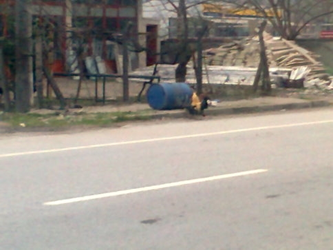 Çöp Bidonlarına Rahat Yok