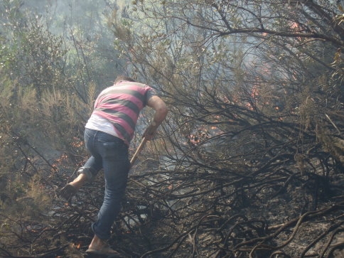 Akyazı ilçesinde çıkan orman yangını güçlükle kontrol altına alınabildi.