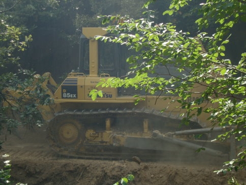 Akyazı ilçesinde çıkan orman yangını güçlükle kontrol altına alınabildi.