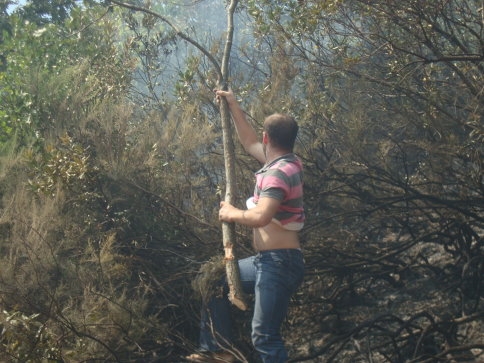 Akyazı ilçesinde çıkan orman yangını güçlükle kontrol altına alınabildi.