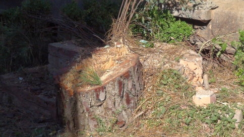 Çarşı içi projesiyle ilgili vatandaş ne diyor?