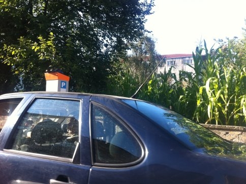 Bakın Akyazı Esnafı PARKOMATları Nasıl Kullanıyor