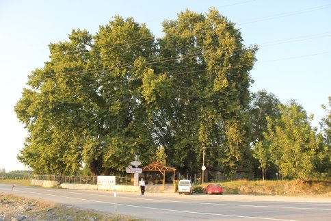 Tesisin Kaderini Değiştiren Ne ?