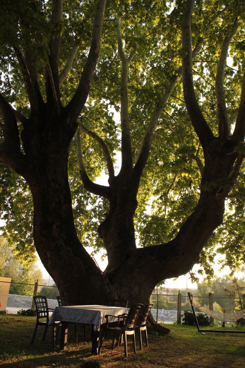 Tesisin Kaderini Değiştiren Ne ?