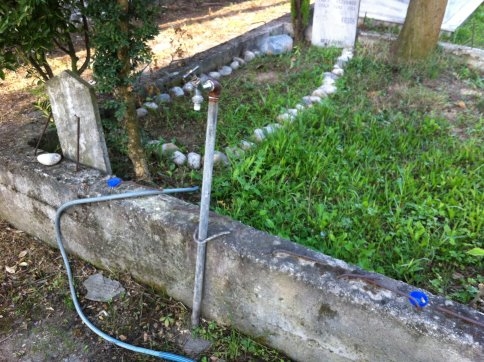 Canlıya Hayrı Yok Ölüye mi olsun!