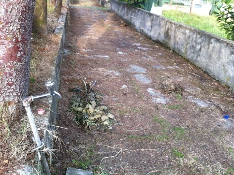 Canlıya Hayrı Yok Ölüye mi olsun!