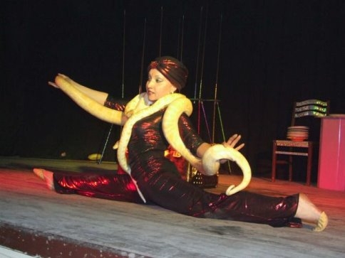 Troya Sirki Akyazı’da!