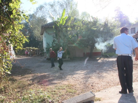 Bir İnek, Beş Yaralı