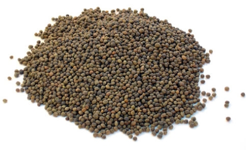 Yüzde 50 Destekli FİĞ tohumu başladı. 