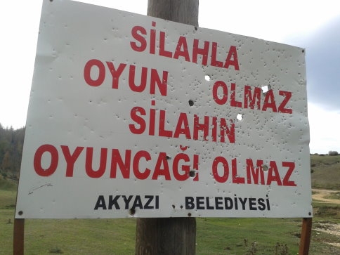 Levha Maganda Kurbanı Olmuş