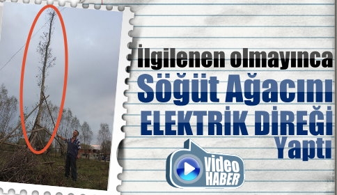 İki Ay Bir Sene Oldu