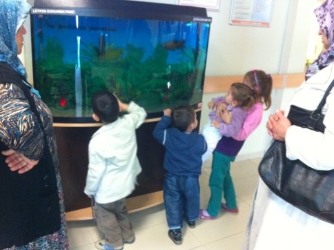 Polikliniklere 2 Dev Akvaryum 