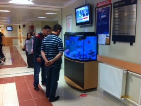 Polikliniklere 2 Dev Akvaryum 