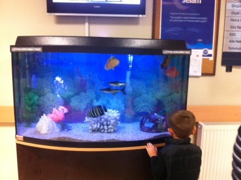 Polikliniklere 2 Dev Akvaryum 