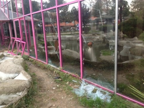 Vicdanlar Rahat mı ?..