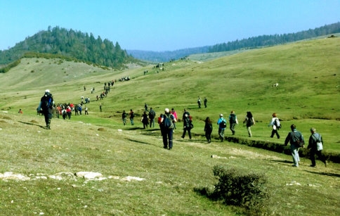 Doğaseverler Yaylaya Çıktı