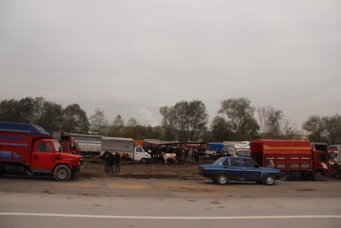 Hayvan Pazarı tehlike saçıyor