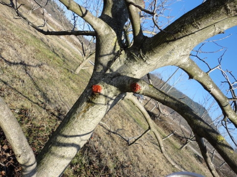 Yeni Kurslar Açılıyor