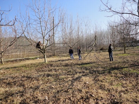 Yeni Kurslar Açılıyor