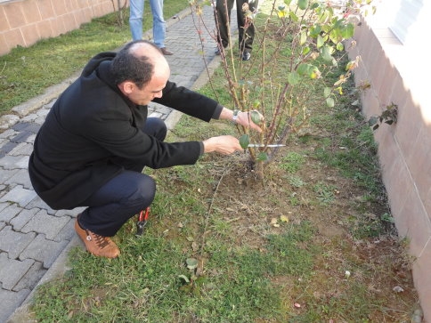 Yeni Kurslar Açılıyor