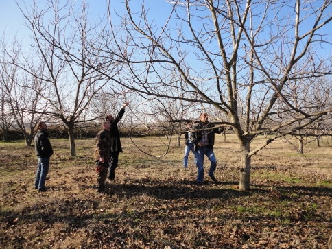 Yeni Kurslar Açılıyor
