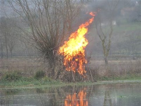 8 Adet Güme Yakılarak İmha Edildi