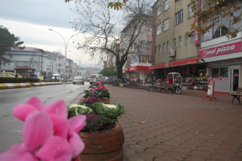 Akyazı Kışın Çiçek Açtı