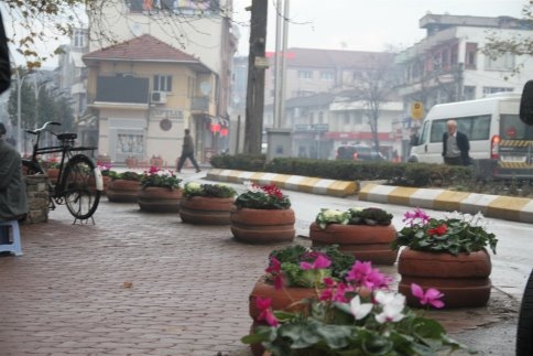 Akyazı Kışın Çiçek Açtı