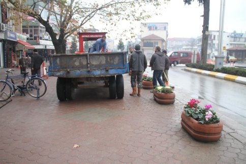 Akyazı Kışın Çiçek Açtı