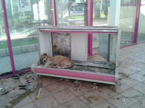 Savcılığa Suç Duyurusunda Bulundular