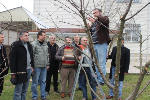 Öğretmenler Ağaç Budama Kursunda