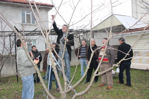 Öğretmenler Ağaç Budama Kursunda
