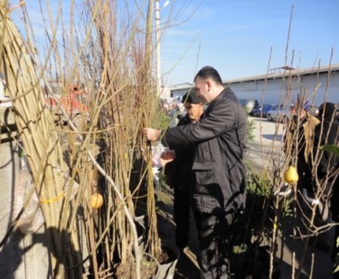 İlçe Gıda Tarım ve Hayvancılık Müdürlüğü Denetimlerini sürdürüyor.