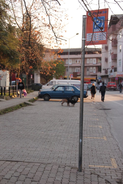 Bankalar Caddesi'nde Otopark Sıkıntısı Bitti, Peki Araçlar Nereye Gitti?