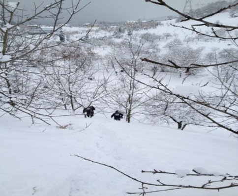 Sakarya Neden Elektriksiz Kaldı?