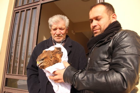 Yol Kenarında Yaralı Bulduğu Şahin’i Yetkililere Teslim Etti