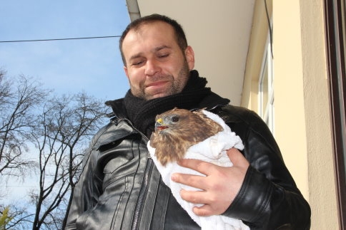 Yol Kenarında Yaralı Bulduğu Şahin’i Yetkililere Teslim Etti