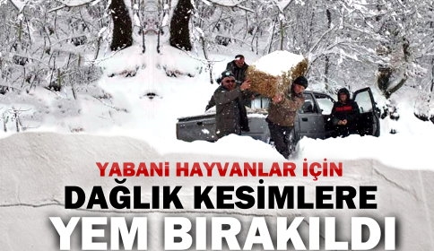 Yabani Hayvanlar İçin Doğaya Yem Bırakıldı