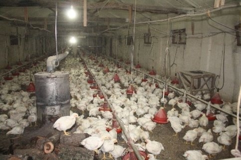 Hızla Eriyen Kar Suları Taşkın ve Heyelana Sebep Oldu