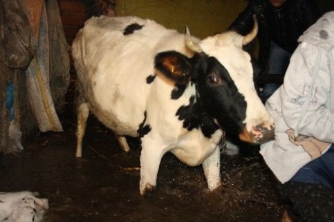 Hızla Eriyen Kar Suları Taşkın ve Heyelana Sebep Oldu