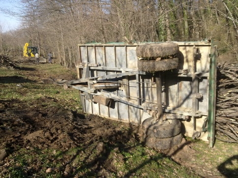 Fındık Odunu Taşırken Devrildi