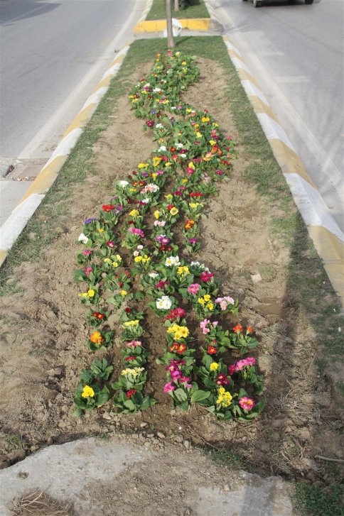 AKYAZI’YA BAHAR ERKEN GELDİ